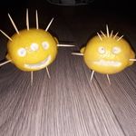 gilbert & bernard🍋💛 - @gilbert_bernard_citrons - Instagram