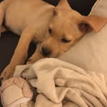 Gilbert Black - @gilbert8months - Instagram