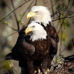 Gilbert Blanco - @gb62963 - Instagram