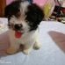 Gilbert Omid Blanco - Facebook
