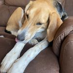 Laurie Blevins-Gilbert - @laurieblevinsgilbert - Instagram