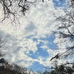 @brady_gilbert__ - Instagram