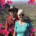 Gilbert Braun - Facebook