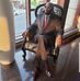 Gilbert Bruno - Facebook