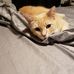 Gilbert Bryan - Facebook