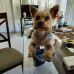 Gilbert Bryant - Facebook