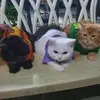 gilbertbueno221 - @gilbertbueno221 - TikTok