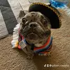 gilbert.cadena - @gilbert.cadena - TikTok