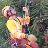 gilbertocarrillo3068 - @gilbert.mtreeservice3068 - TikTok