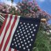 Gilbert Chapman - Facebook