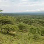 Gilbert Kipchumba - @gilbertchumba636 - Instagram