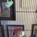 Gilbert Collier - Facebook