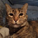 Gilbert Cortez - @gilbert.cortez.528 - Instagram