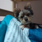 Gilbert Currie - Facebook