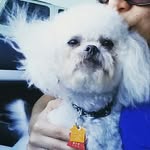 Gilbert David - @_gilbertdavid_ - Instagram