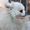 Gilbert David - @gilbert.david18 - TikTok