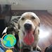 Dean Gilbertson - Facebook