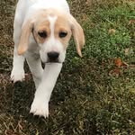 Meredith Gilbert Dunn - @thoughtsbythurman - Instagram