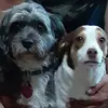 gilbertfalcon0 - @gilbert.falcon5 - TikTok