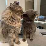 Floyd & Gilbert - @floyd_gilbert_wright - Instagram