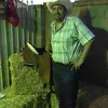 julio michoacan - @gilbertogaribay2 - TikTok