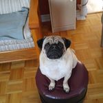 Gaston Gilbert - @gaston.gilbert.39 - Instagram