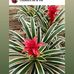 Gilberte Girard - Facebook