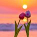 Gilbert Graves - Facebook