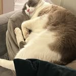 Ernie Frederick Robert Gilbert - Gray - @grayernie - Instagram