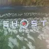 Gilbert Gray - @gilbertgray289 - TikTok