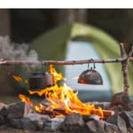 Gilbert Gray Woodland adventures - @gilbertgray2024 - Instagram