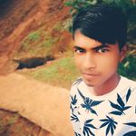 Gilbert STONER🇮🇳✌✌✌✌✌✌✌✌ - @gray_gilbert - Instagram