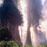 Oguzhan Topaloglu 692 - @gilberthanson55396939 - Instagram