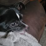 Gilbert Harden - Facebook