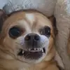 gilbert hardy - @gilberthardy - TikTok