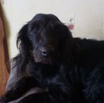 Gilbert Hardy - Facebook