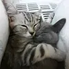 harmony_gilbertson - @harmony_gilbertson - TikTok