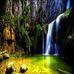 Gilbert Harrington - Facebook