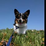 @gilbert_harris - Instagram