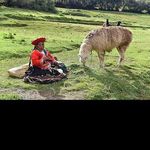 @gilbert_harvey - Instagram