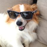 harvey_gilbert - @harvey_gilbert - Instagram