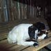 Hendri Golbert - Facebook