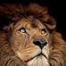 Gilbert Henning - Facebook