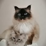 Gilbert&Herbert - @gilbert.and.herbert - Instagram