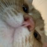 @herbert_a_gilbert - Instagram