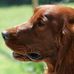 Gilbert Herrmann - Facebook