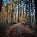 F. Gilbert Hills State Forest - Facebook