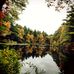 F. Gilbert Hills State Forest - Facebook
