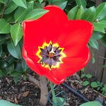Gilbert Hodges - @gilhodges5949 - Instagram