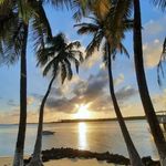 Andrew  Gilbert hogan - @gilbert_andrew_hogann - Instagram